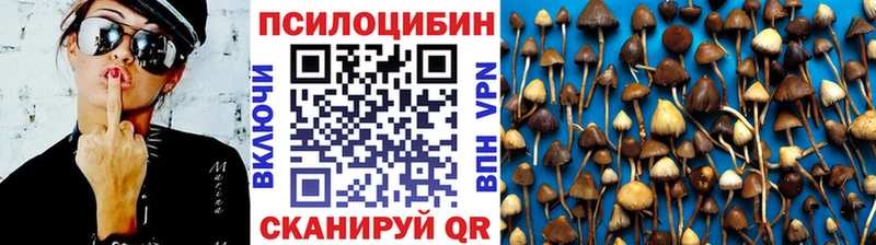 Купить закладки Анива Галлюциногенные грибы Psilocybine cubensis